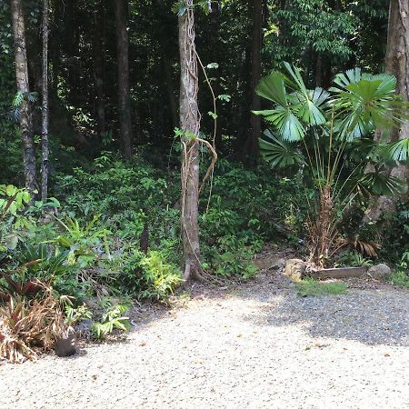 Forest Views Diwan Extérieur photo