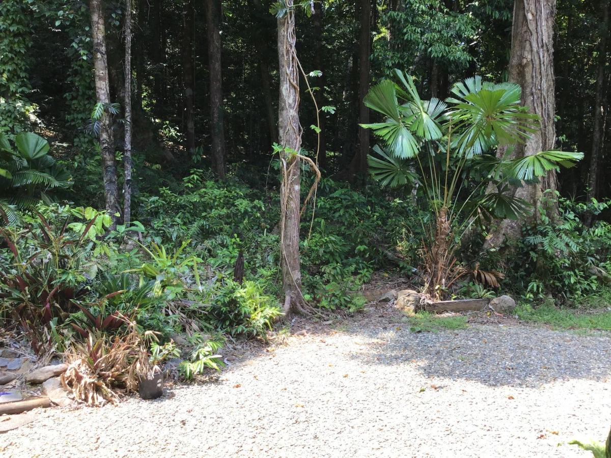 Forest Views Diwan Extérieur photo